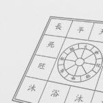 白と灰色を基調とした紫微斗数の命盤図。中央に十二支の円形チャート、周囲に12の宮が配置されているシンプルなデザイン。